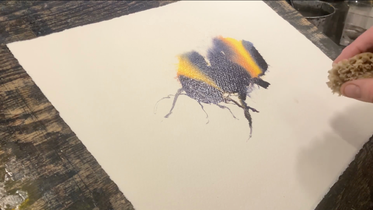 Gestalta insekter - Bild 15