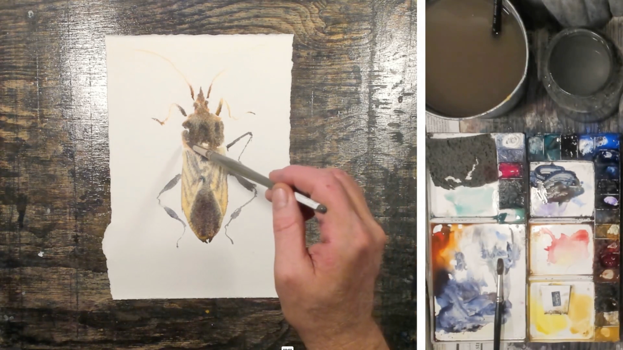 Gestalta insekter - Bild 14