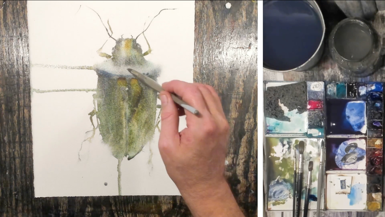 Gestalta insekter - Bild 12