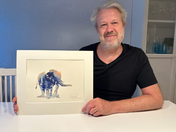 Elefant unge