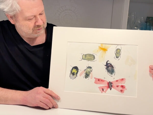 Studie av insekter