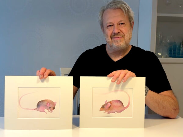 Två möss